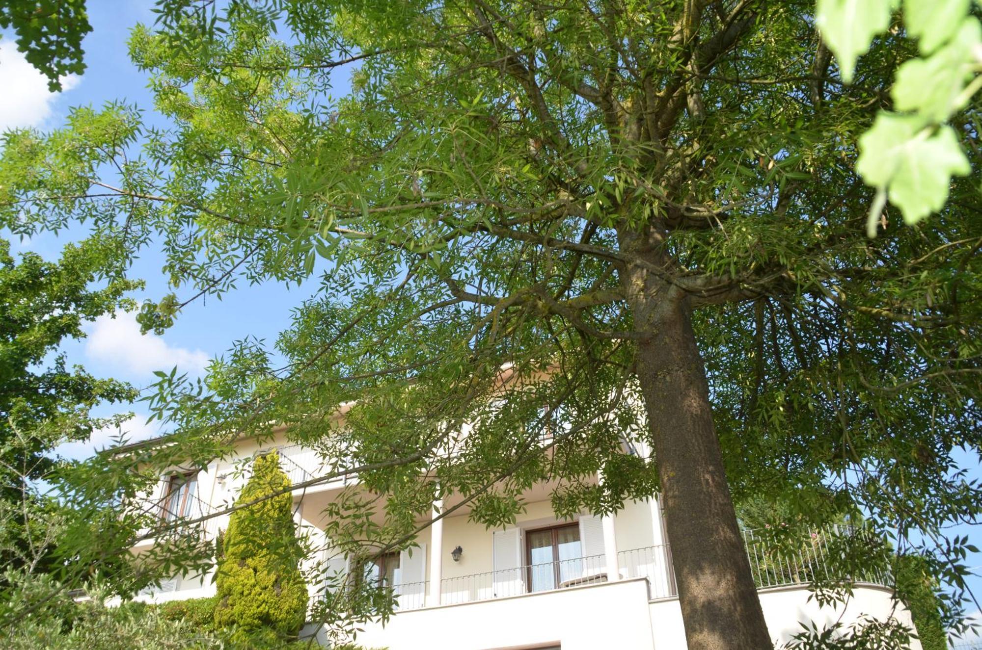 Villa Patrizia Монкалво Екстериор снимка